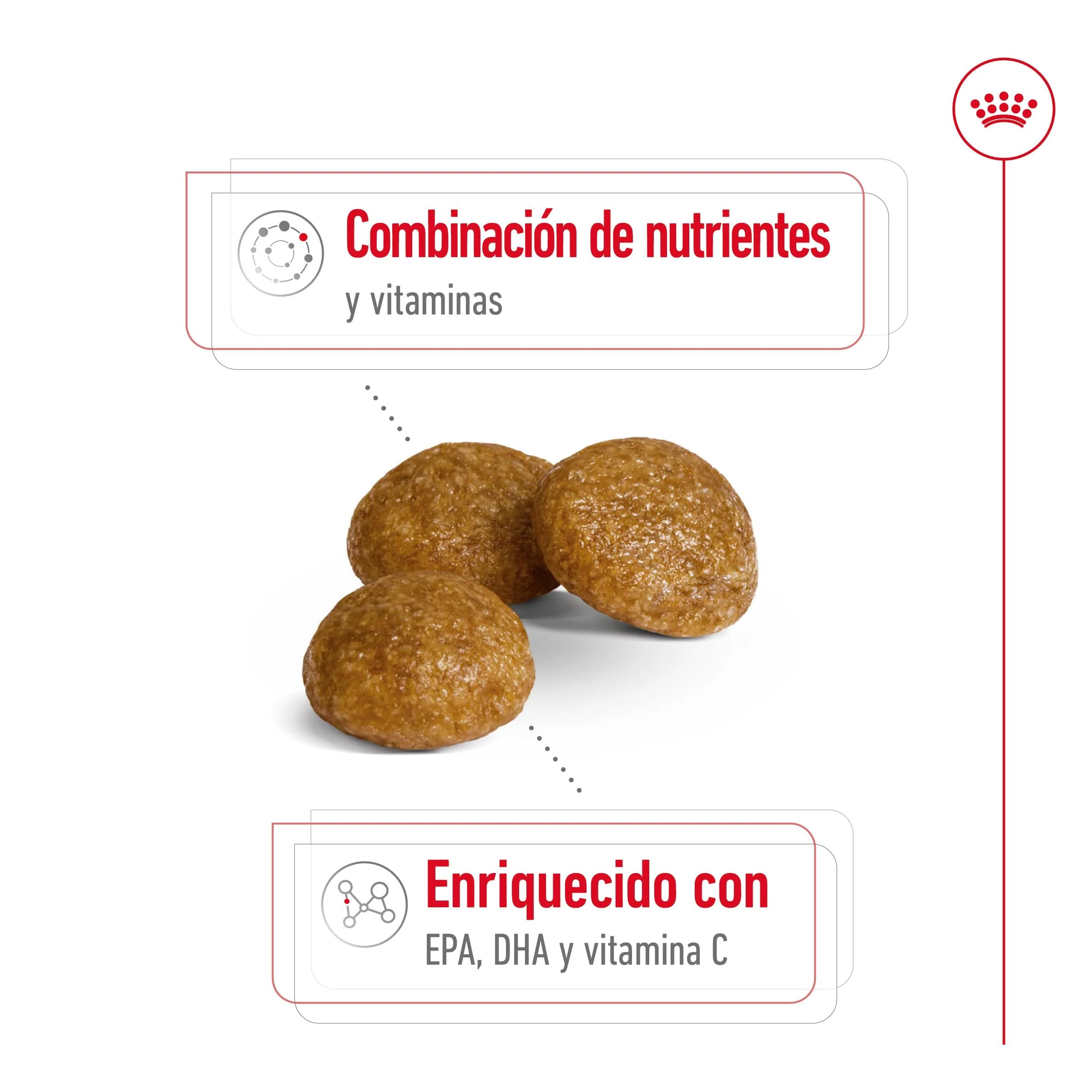 Royal Canin X-Small 8+ Pienso para Perros - Image 3
