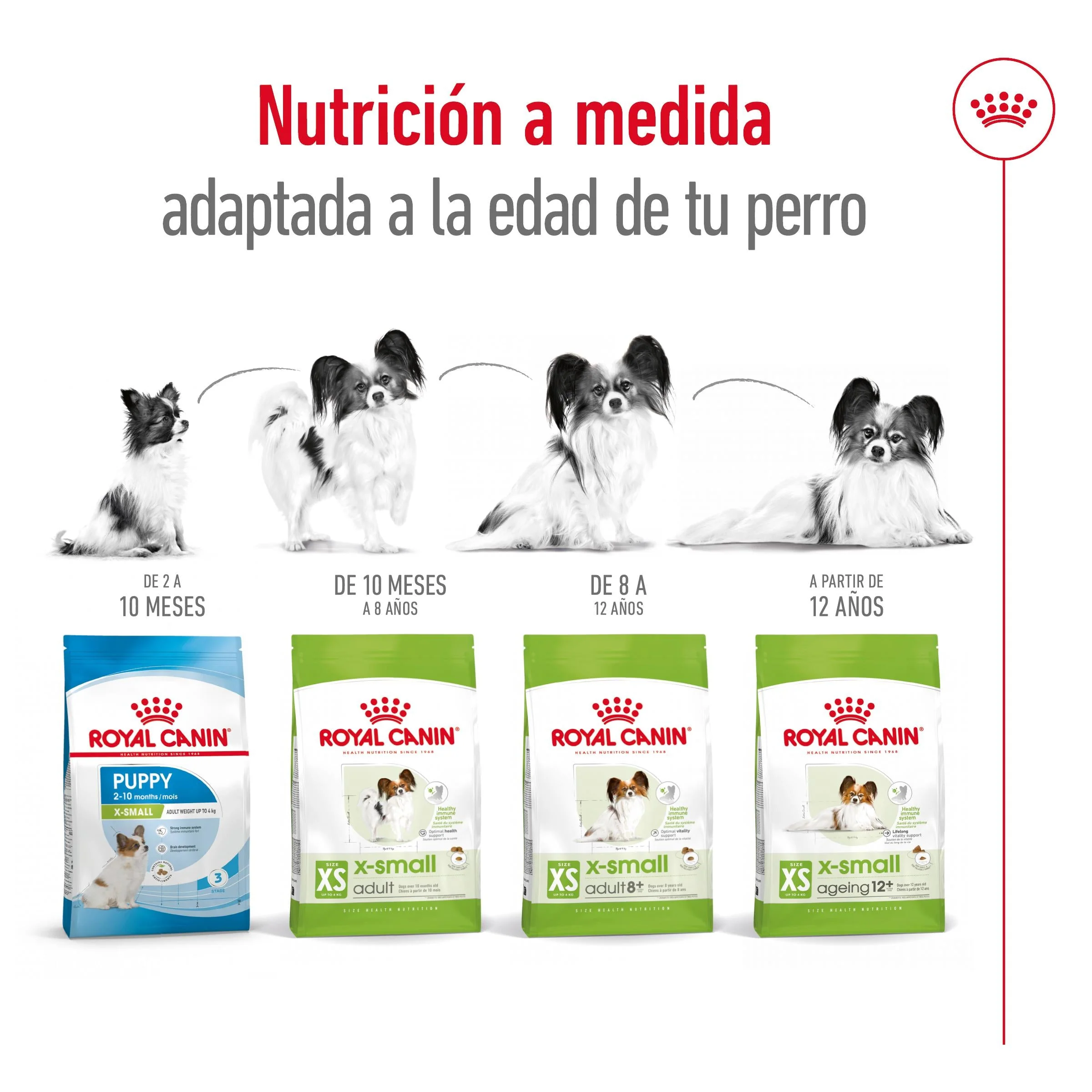 Royal Canin X-Small 8+ Pienso para Perros - Image 5