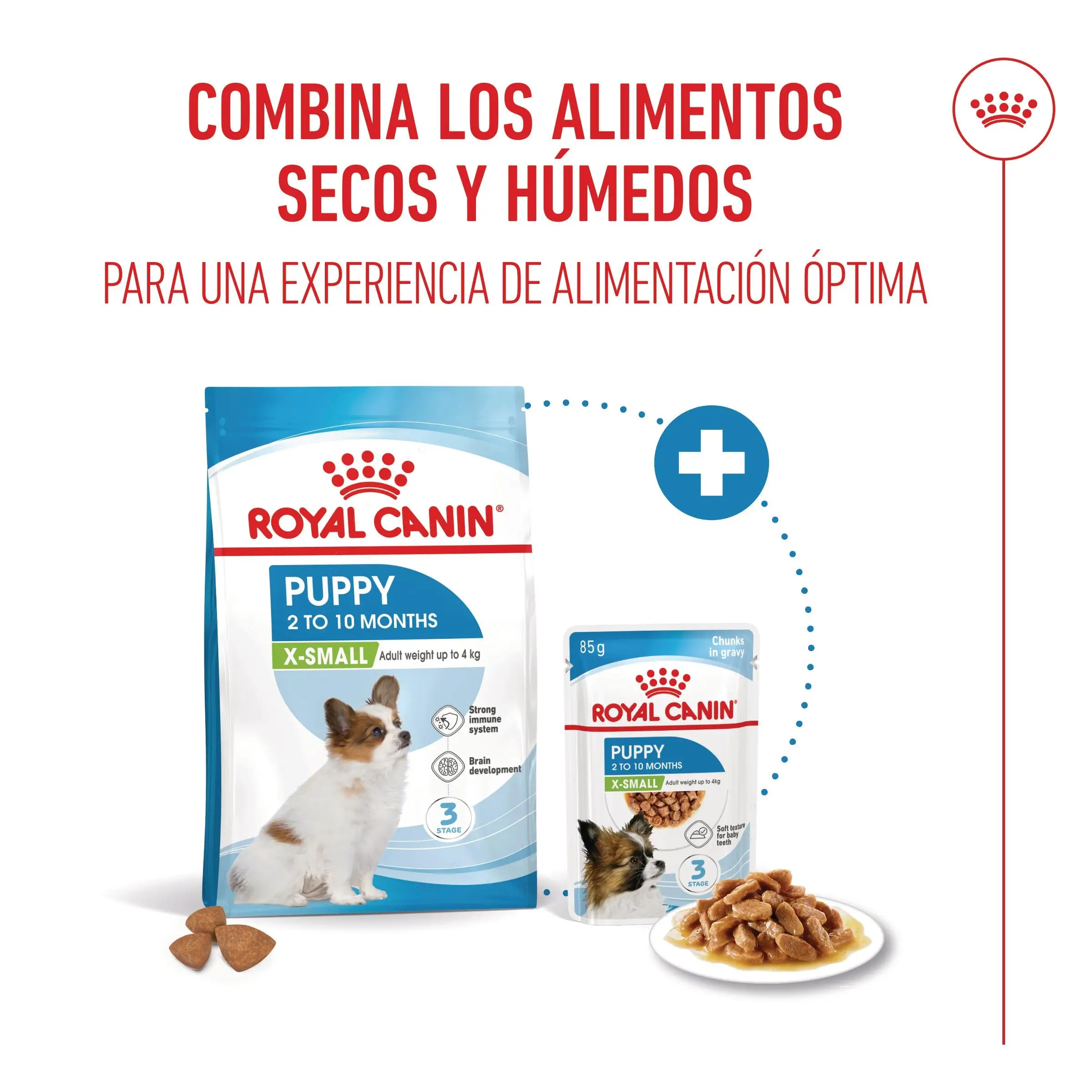 Royal Canin X-Small Puppy 85 g Comida Húmeda para Cachorros - Image 4