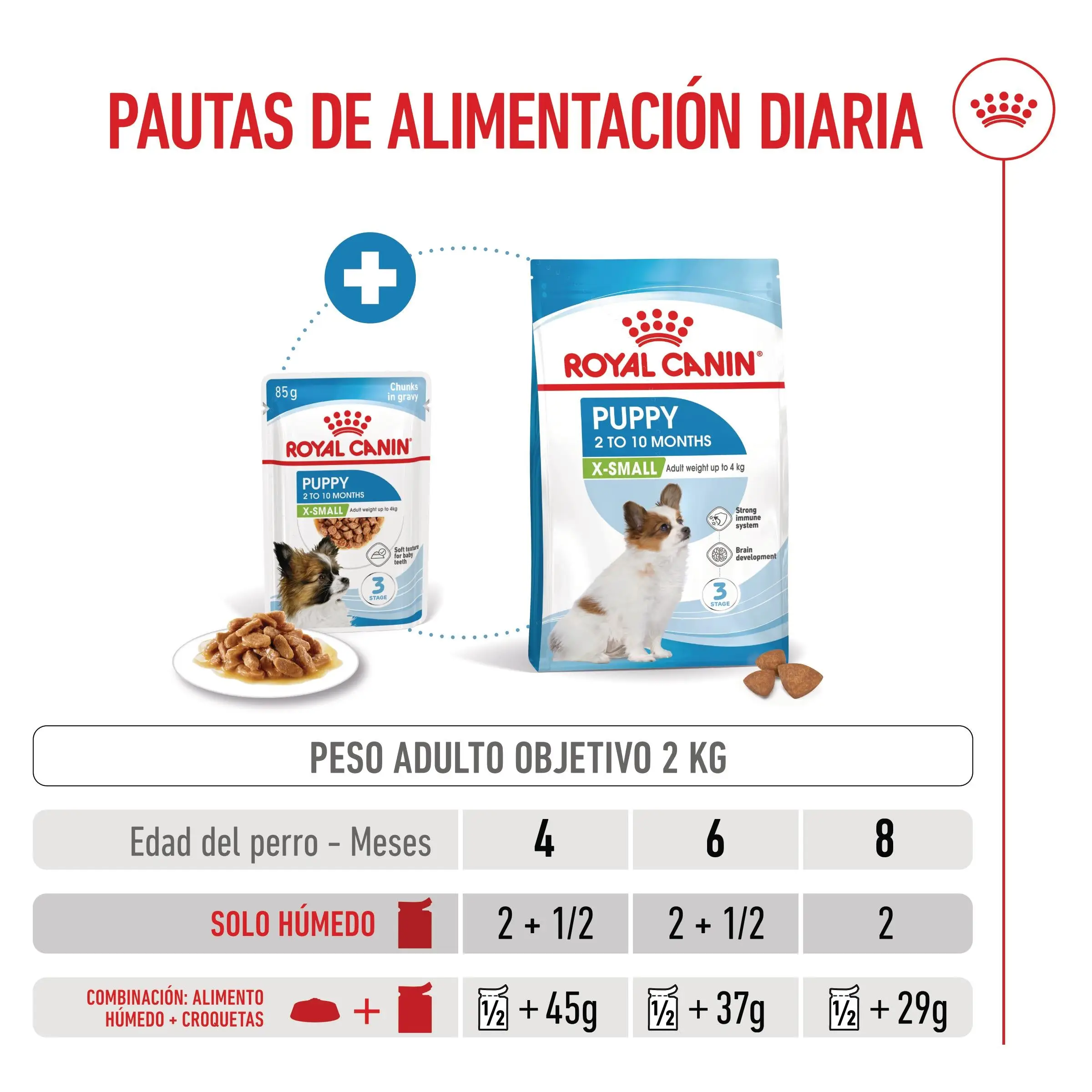 Royal Canin X-Small Puppy 85 g Comida Húmeda para Cachorros - Image 6