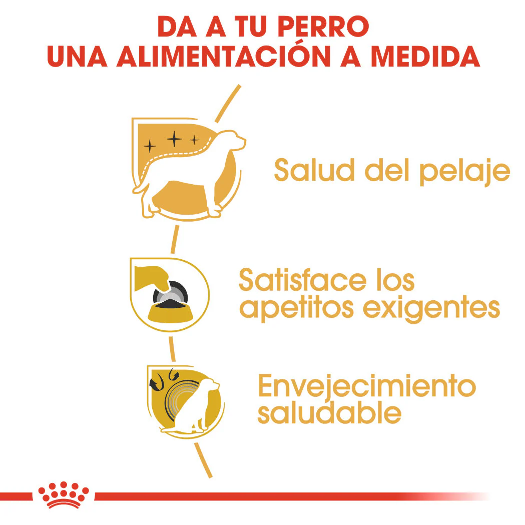 Royal Canin Yorkshire Terrier Adulto Pienso para Perros de Raza - Image 3