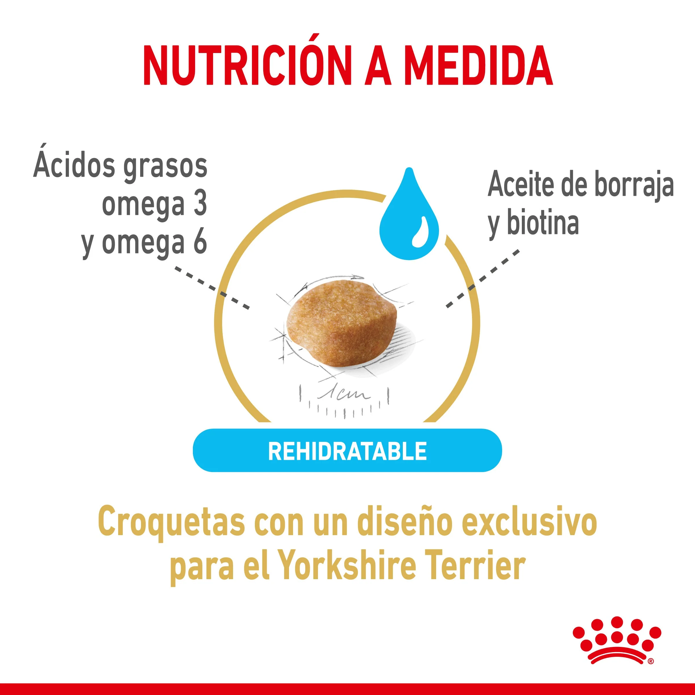 Royal Canin Yorkshire Terrier Ageing 8+ Pienso para Perros de Raza - Image 2