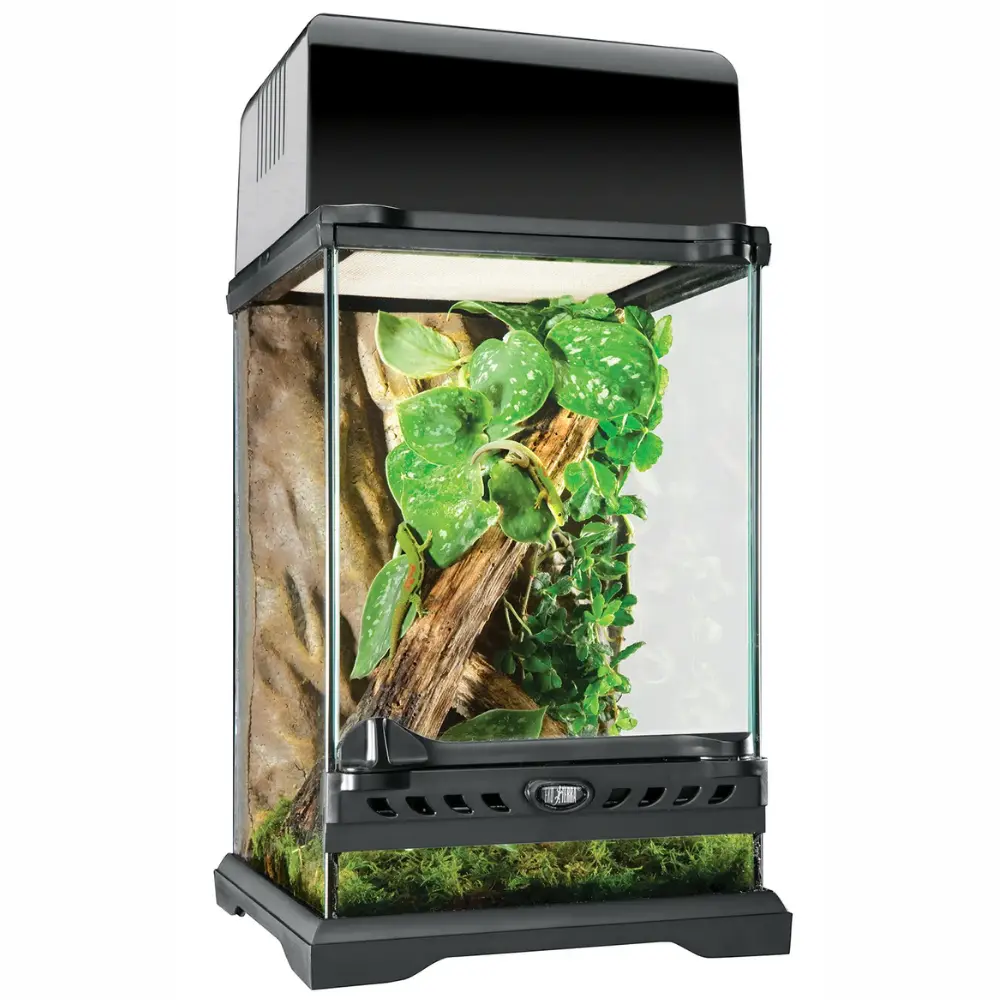Terrario Exo Terra Nano 16L Tall 20x20x30 cm