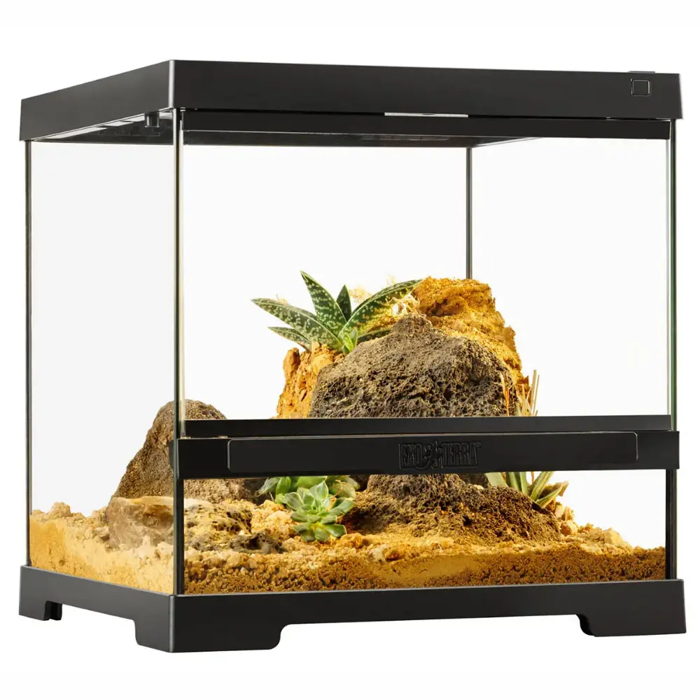 Terrario Mini Exo Terra