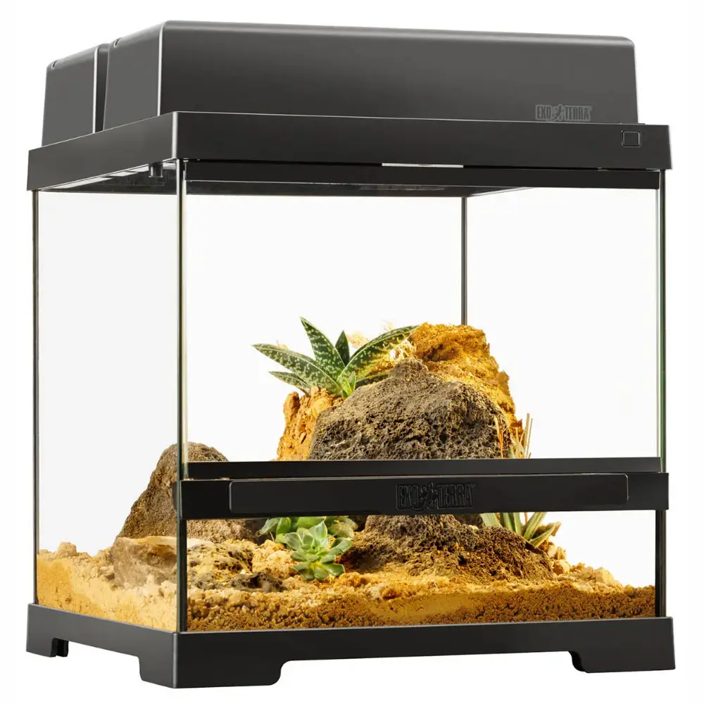 Terrario Mini Exo Terra - Image 3