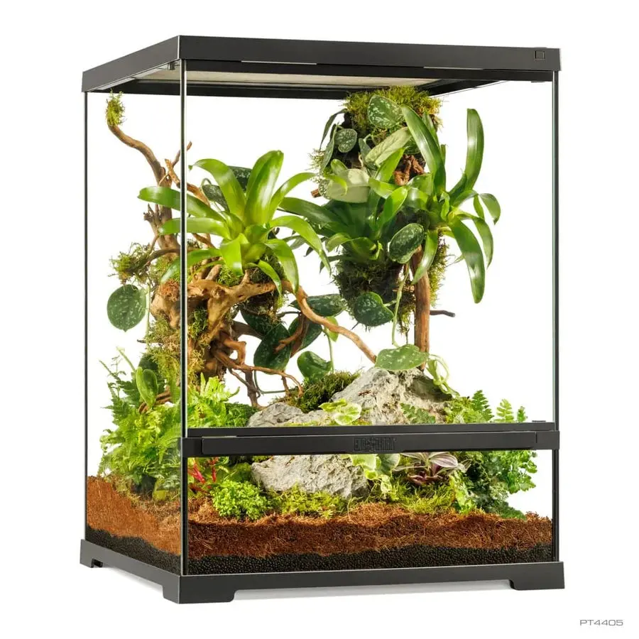 Terrario Pequeño Exo Terra - Image 4