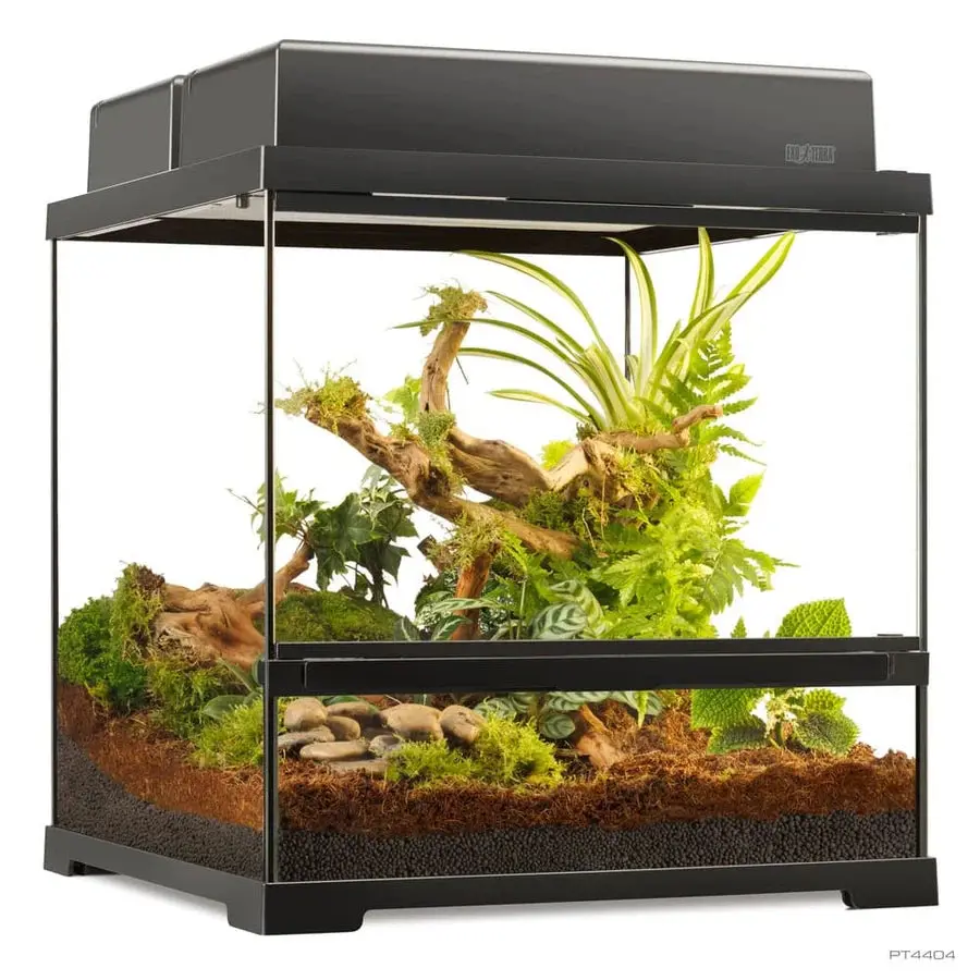 Terrario Pequeño Exo Terra - Image 5