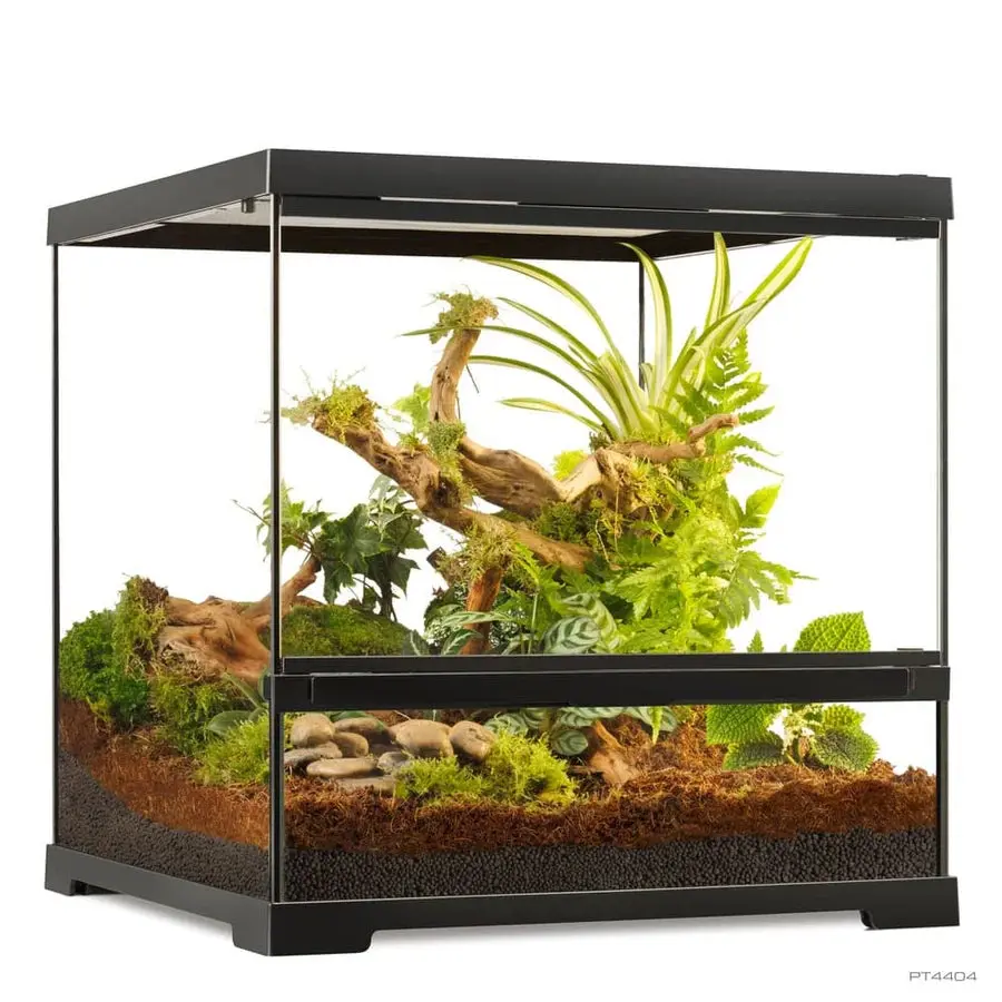 Terrario Pequeño Exo Terra - Image 6