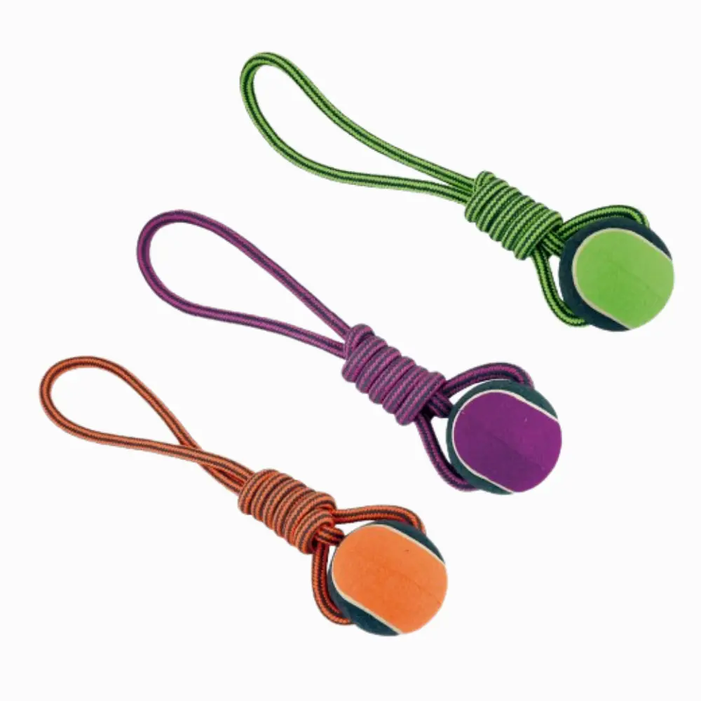 Tirador Cuerda Dental con Pelota