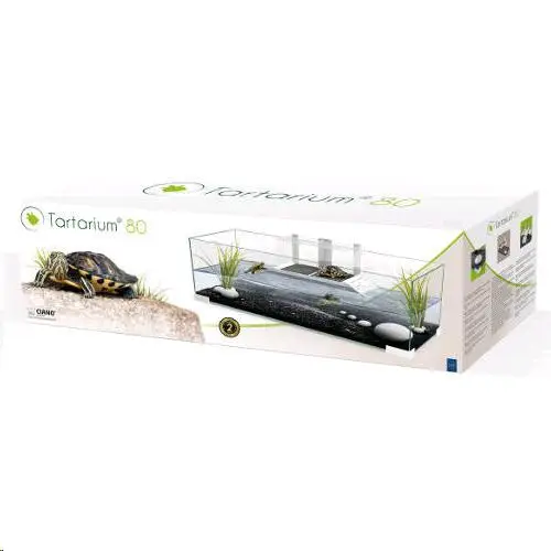 Tortuguera Ciano Plus - Image 4