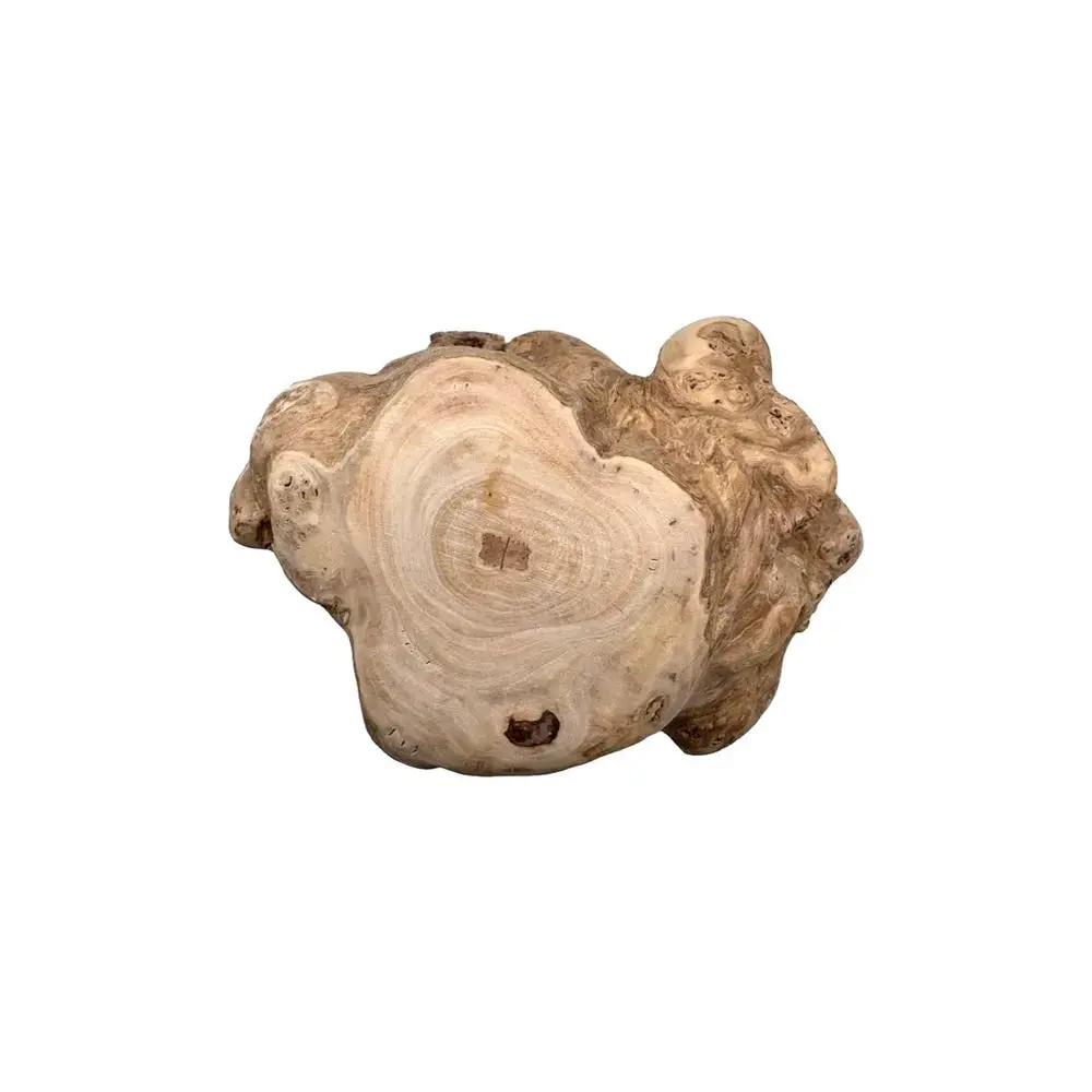 Hobbitalf Tronco de Madera de Café Snack Natural para Perros