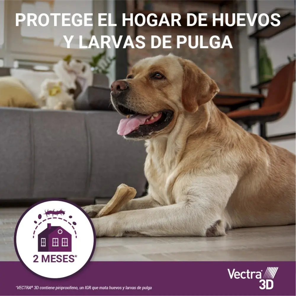 Vectra 3D Pipetas Antiparasitarias para Perros Pack 3 uds - Image 5
