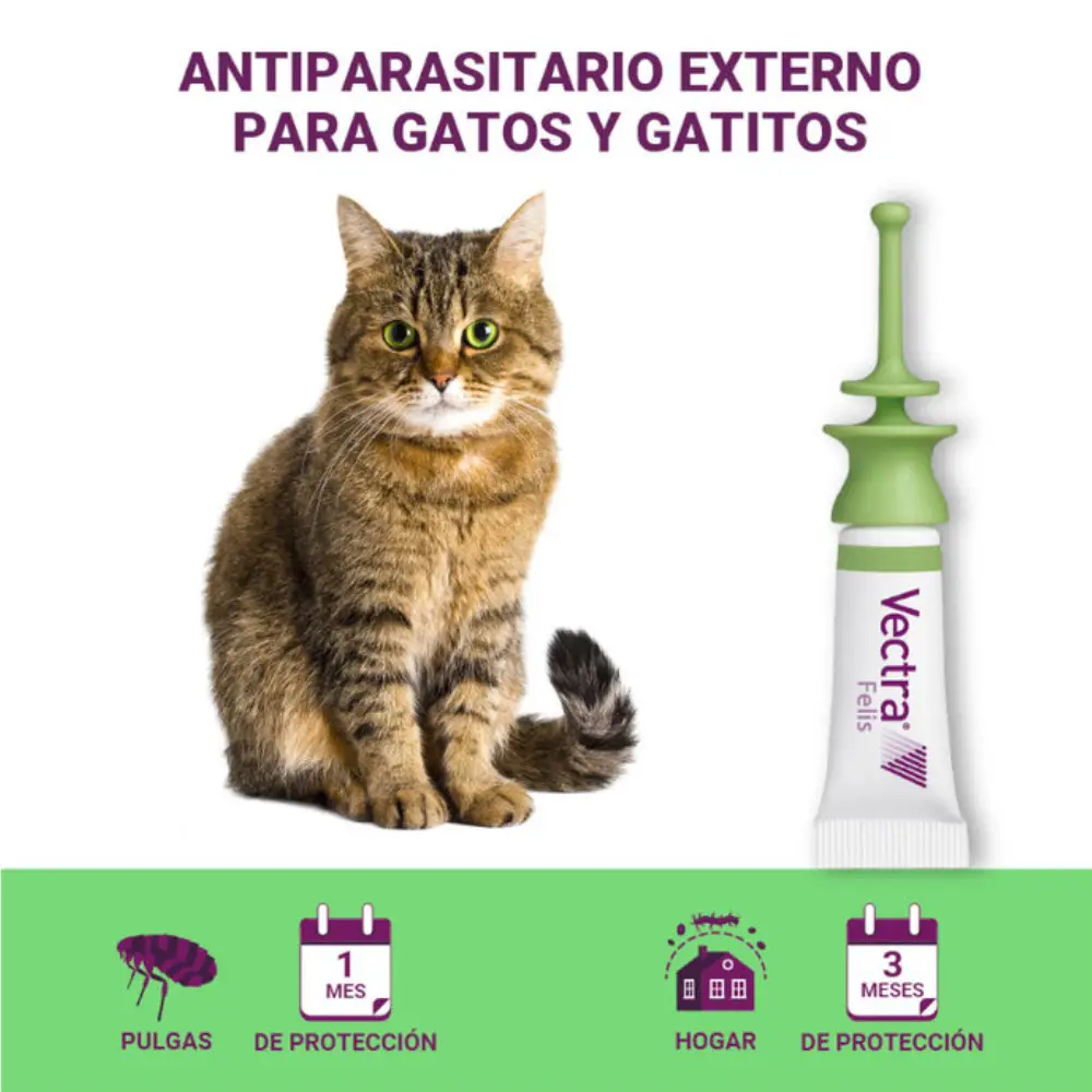 Vectra Felis Pipetas Antiparasitarias para Gatos - Image 2