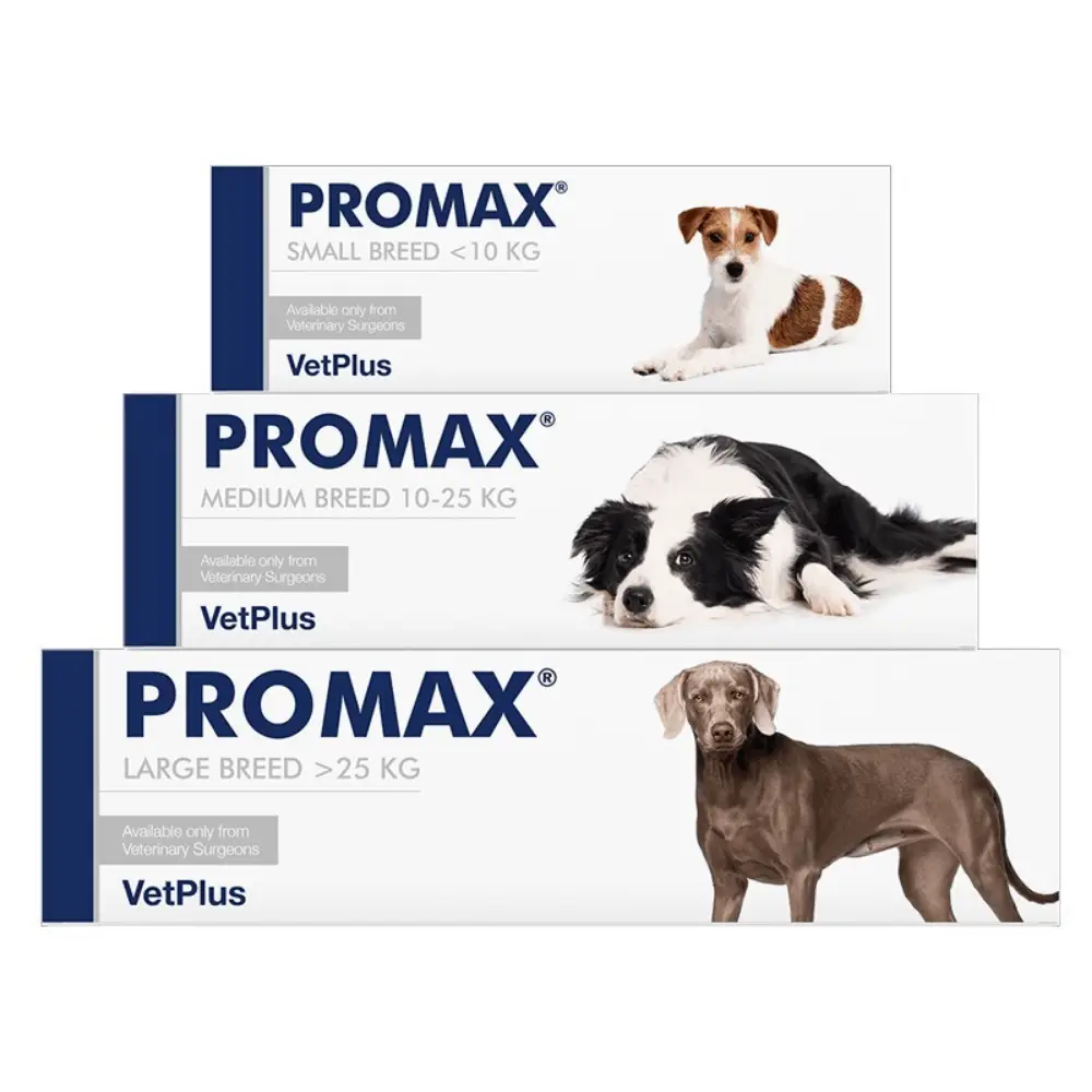 VetPlus Promax Complemento Antidiarréico para Perros