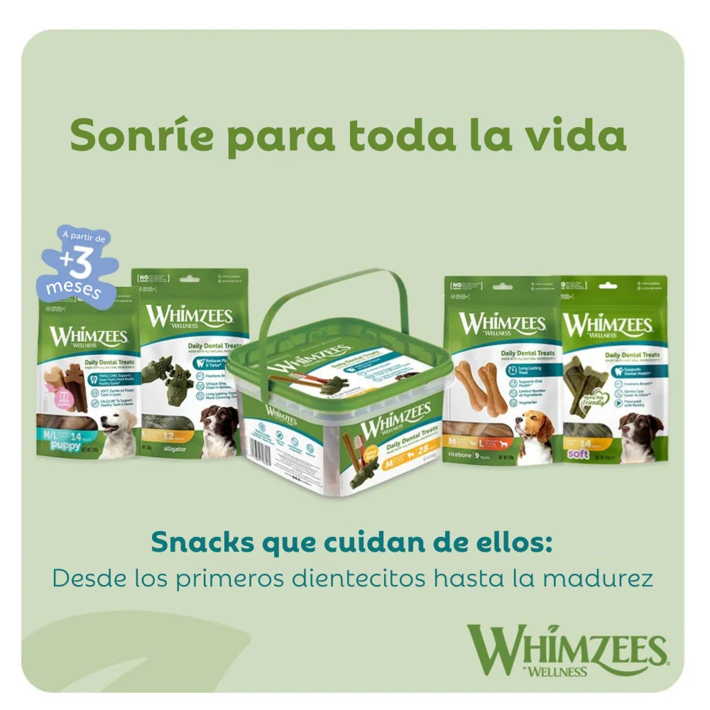 Whimzees Asta Occupy Antler L Bolsa 360 g - 6 uds - Image 9