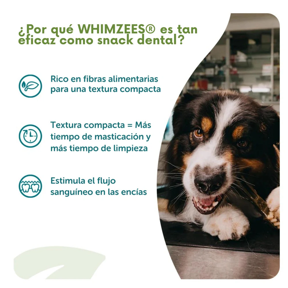 Whimzees Hueso Estrella Snack Dental para Perros Bolsa 420 g - Image 10