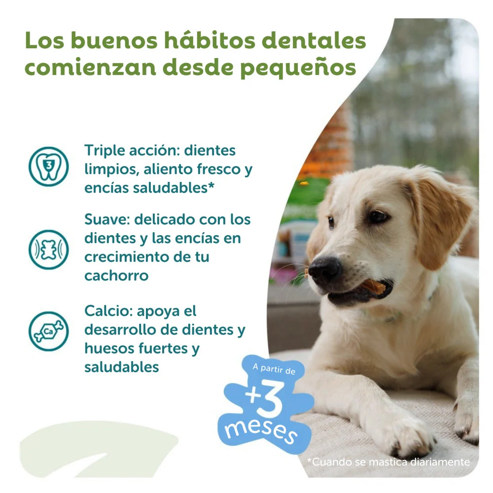 Whimzees Snacks Dentales para Cachorros Puppy Medianos/Grandes - 14 unidades - Image 2