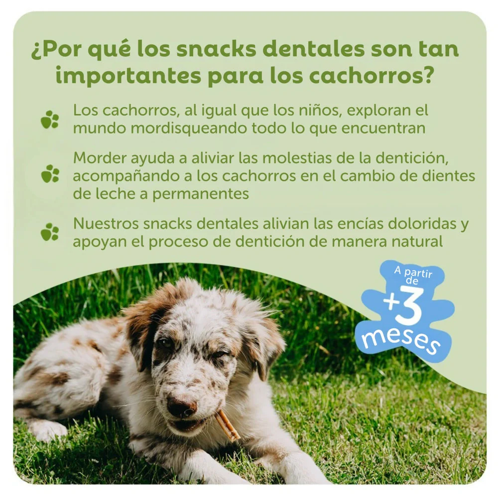 Whimzees Snacks Dentales para Cachorros Puppy Medianos/Grandes - 14 unidades - Image 3