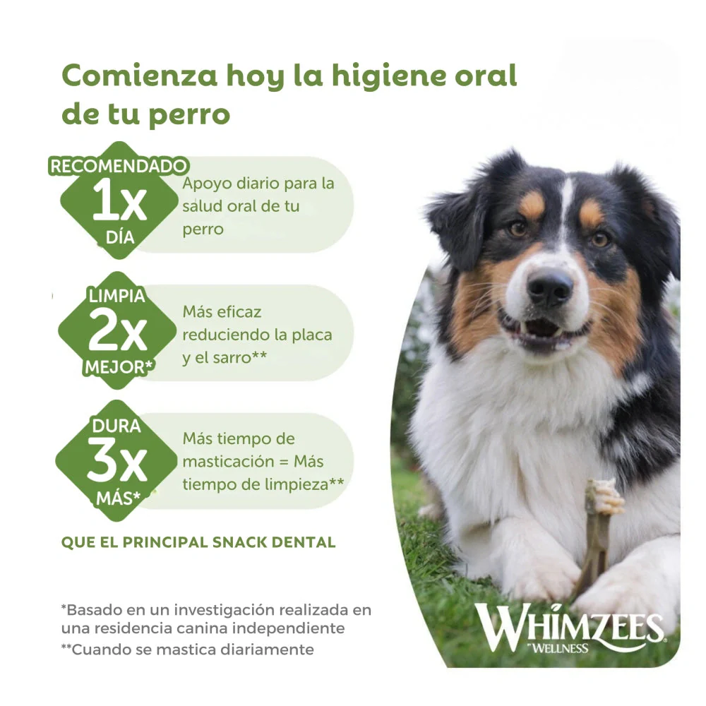 Whimzees Snacks Dentales para Cachorros Puppy Medianos/Grandes - 14 unidades - Image 6
