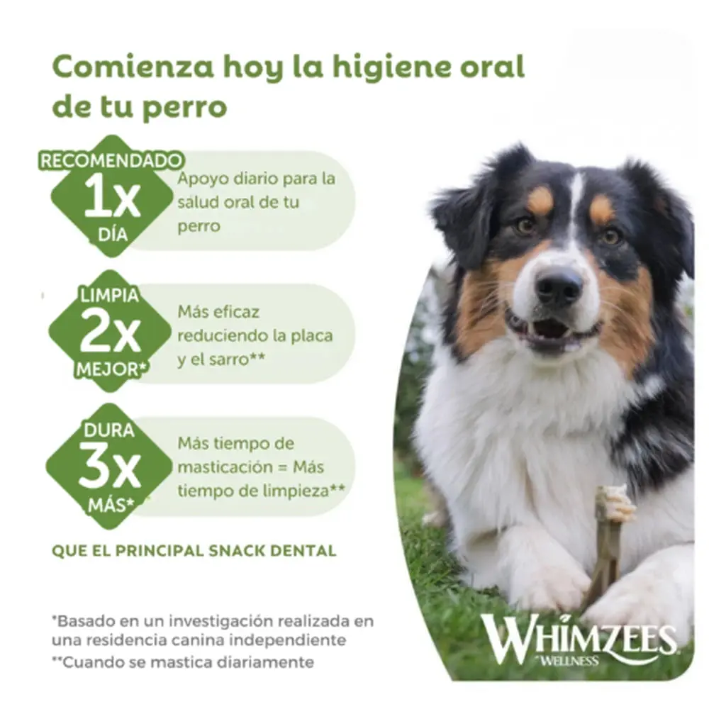 Whimzees Toothbrush Cepillo de Dientes Snack Dental para Perros - Image 5