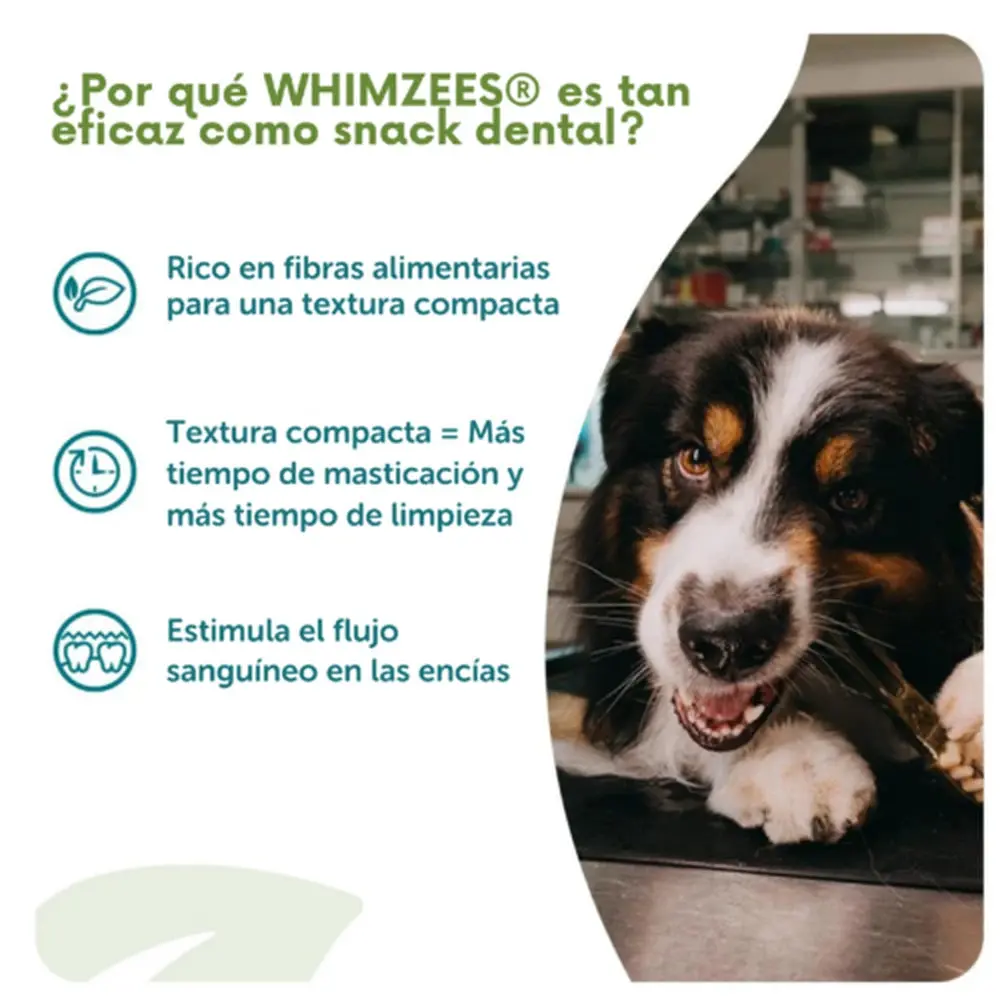 Whimzees Toothbrush Cepillo de Dientes Snack Dental para Perros - Image 6